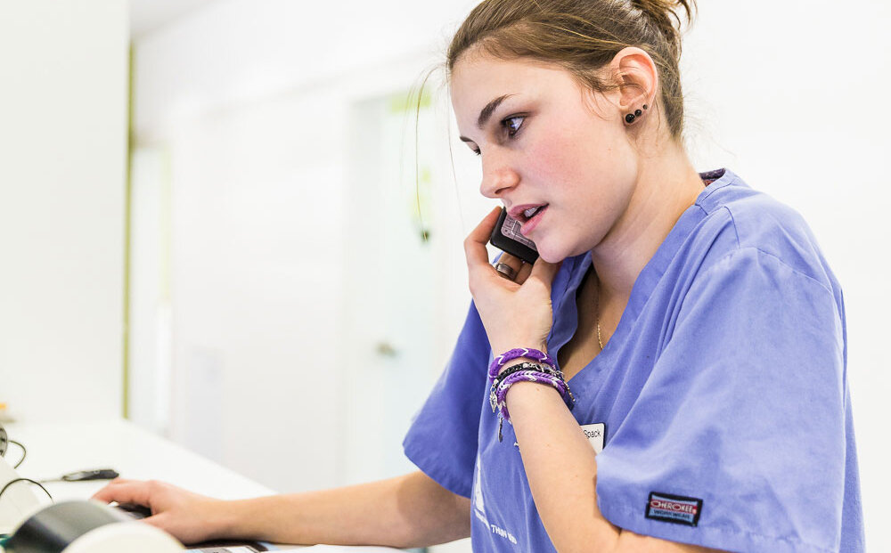 Tiermedizinische Praxisassistentin am Telefon