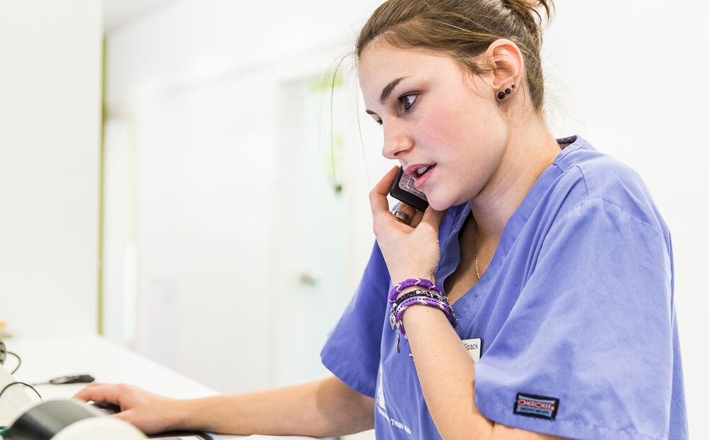 Tiermedizinische Praxisassistentin am Telefon