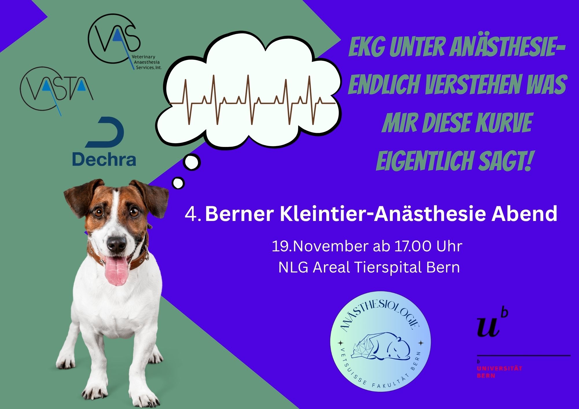 4. Berner Kleintier-Anästhesie Abend - EKG unter Anästhesie - Endlich verstehen was mir diese Kurve eigentlich sagt!