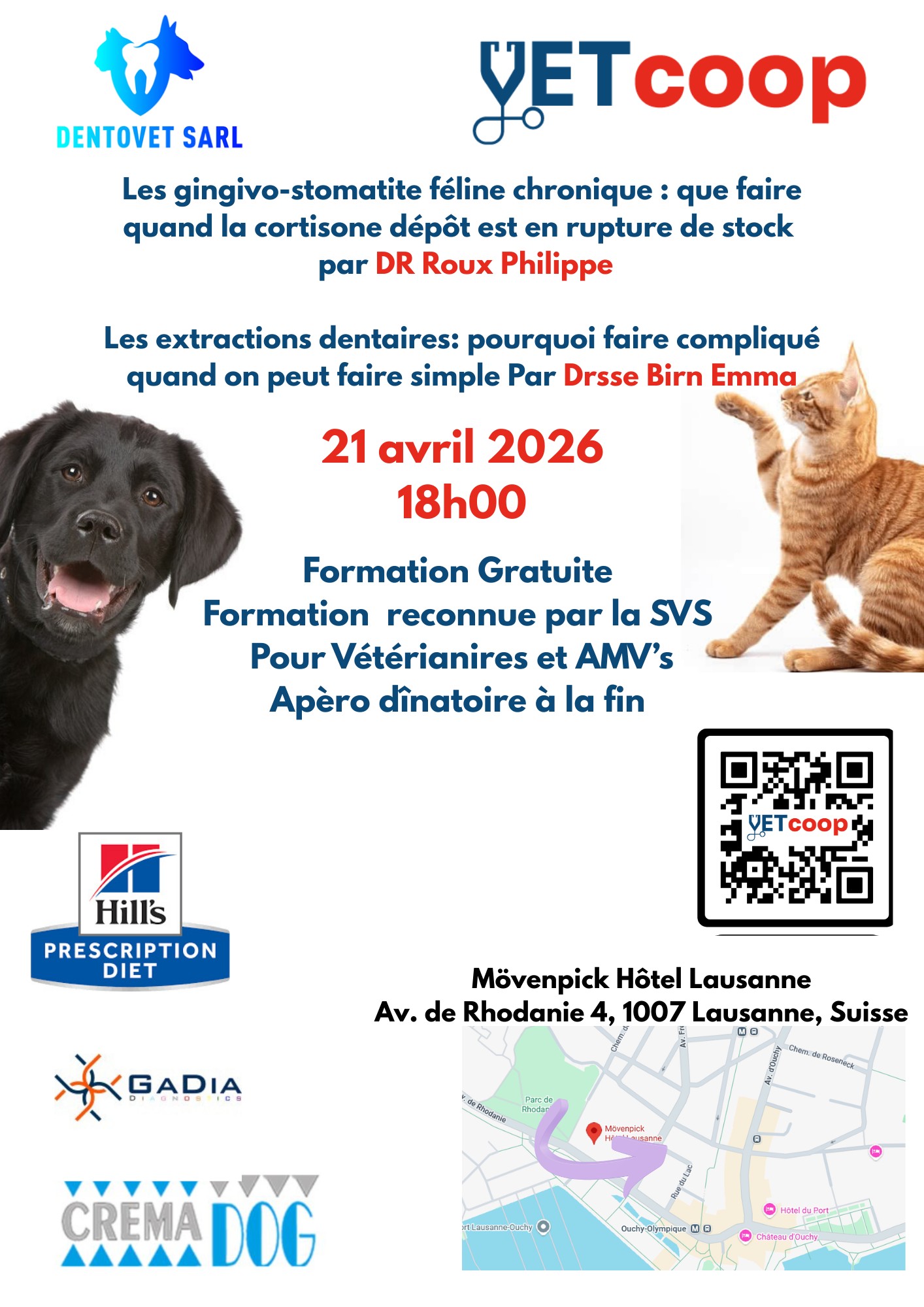 Les gingivo-stomatite féline chronique : que faire quand la cortisone dépôt est en rupture de stock 