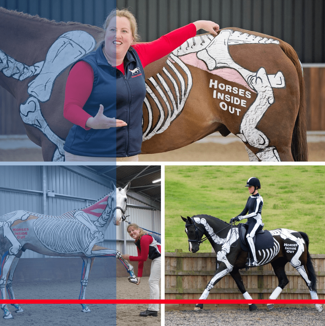 Workshop "Pilates und Stangenarbeit" mit Gillian Higgins aufbauend auf der Abendshow