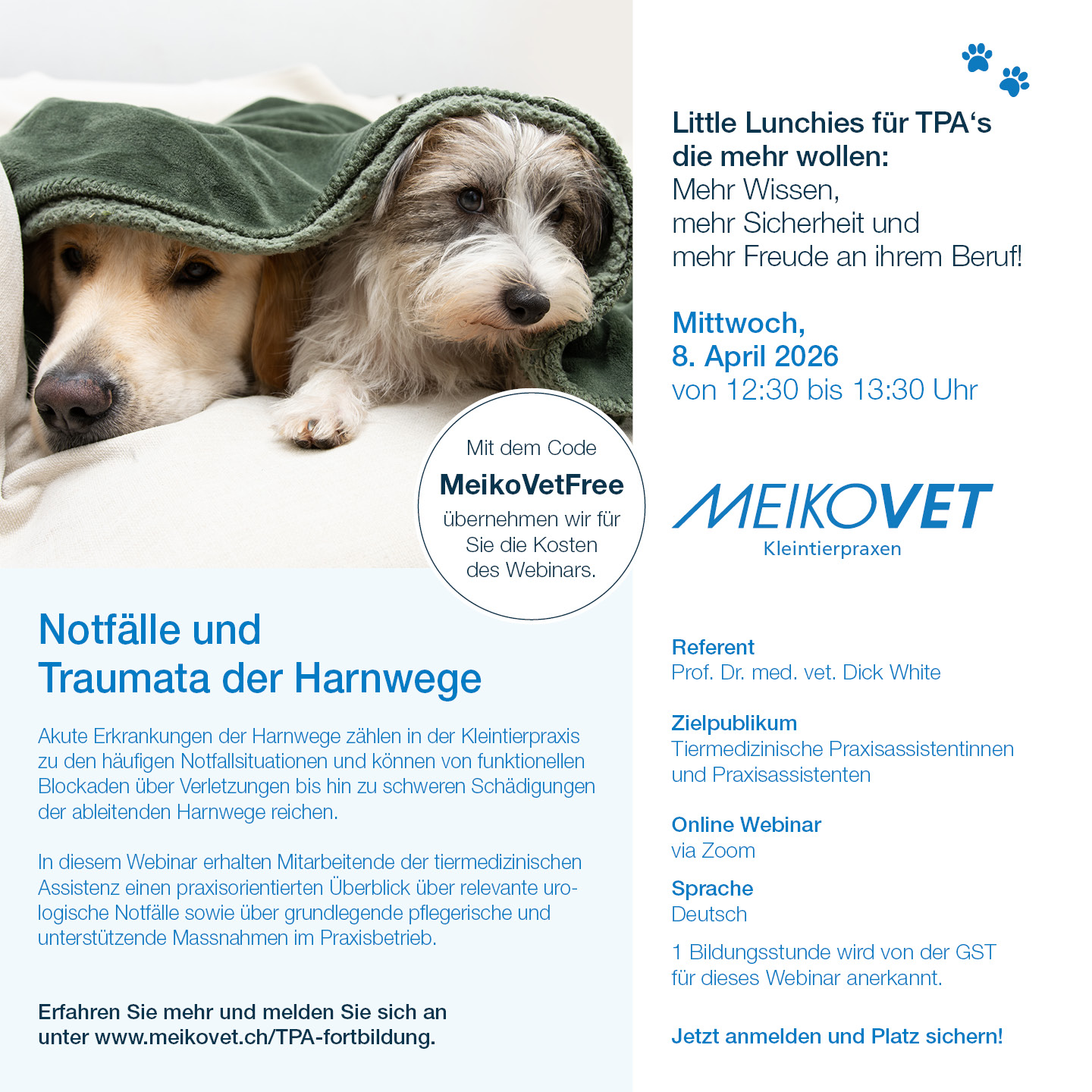 Little Lunchies für TPA's: Notfälle und Traumata der Harnwege