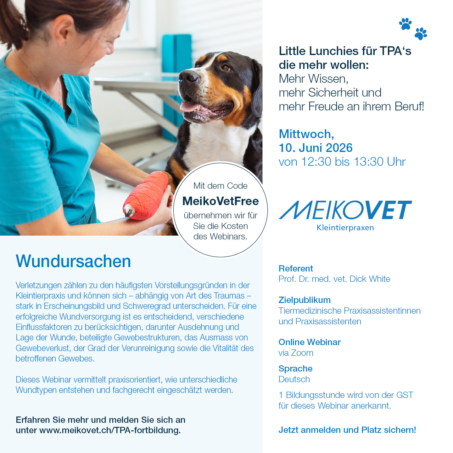 Little Lunchies für TPA's: Wundursachen