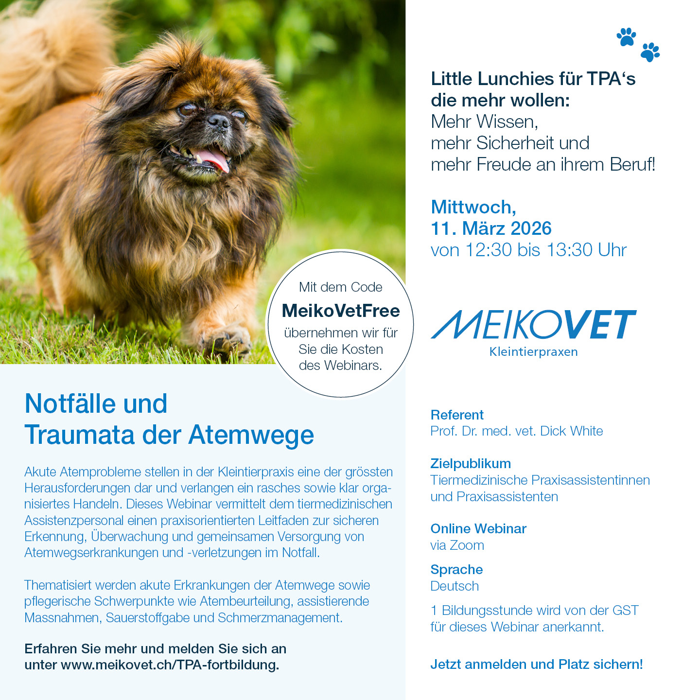 Little Lunchies für TPA's: Notfälle und Traumata der Atemwege