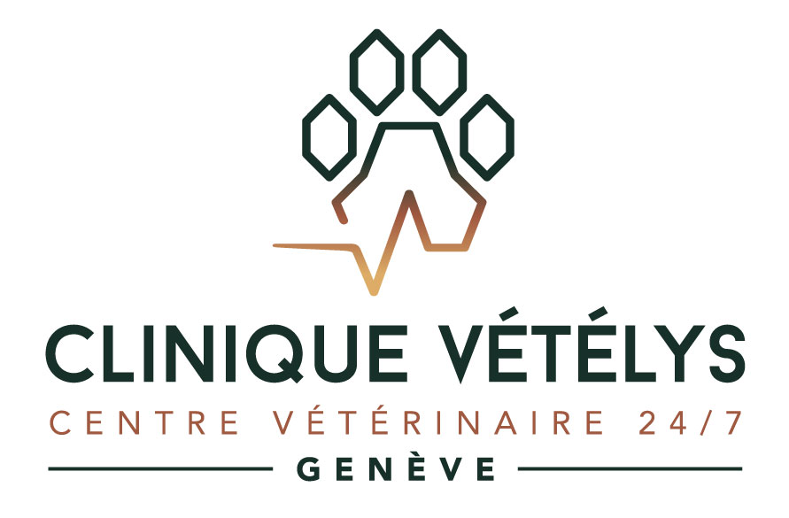 AMV : UN LEVIER DE DEVELOPPEMENT DE LA SATISFACTION DES CLIENTS AU SEIN DE VOTRE STRUCTURE VETERINAIRE