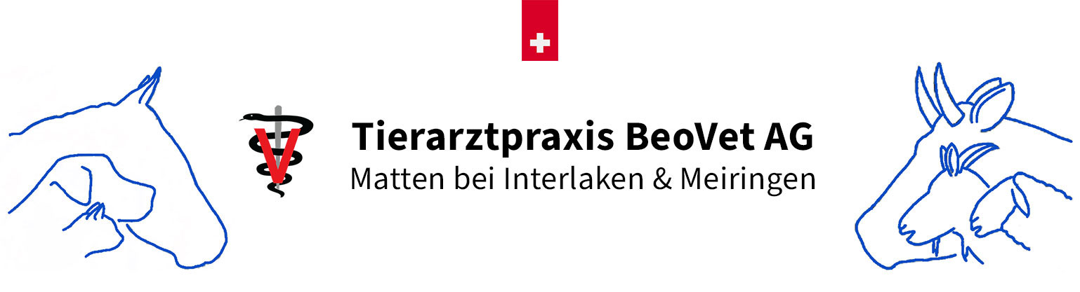 Tierarztpraxis BeoVet